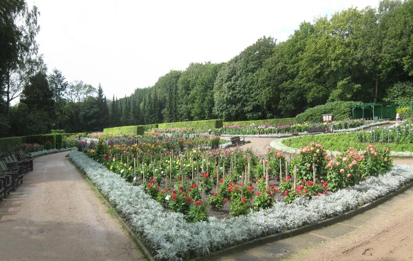 Dahliengarten_Hamburg_2011.jpg Dahliengarten_Hamburg_2011.jpg