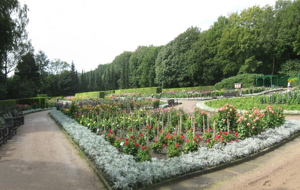 Dahliengarten_Hamburg_2011.jpg